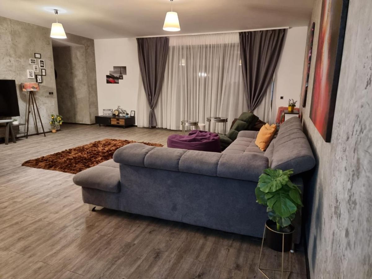 Anastasia Mountain Apartment - Poiana Braşov Eksteriør bilde